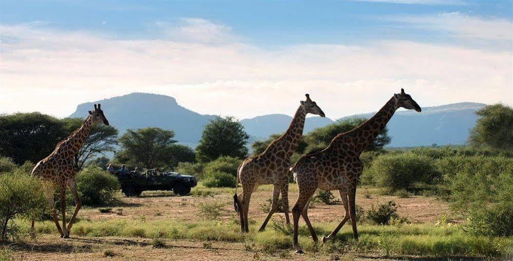 Marataba Safari Co Hotell Marakele National Park Eksteriør bilde
