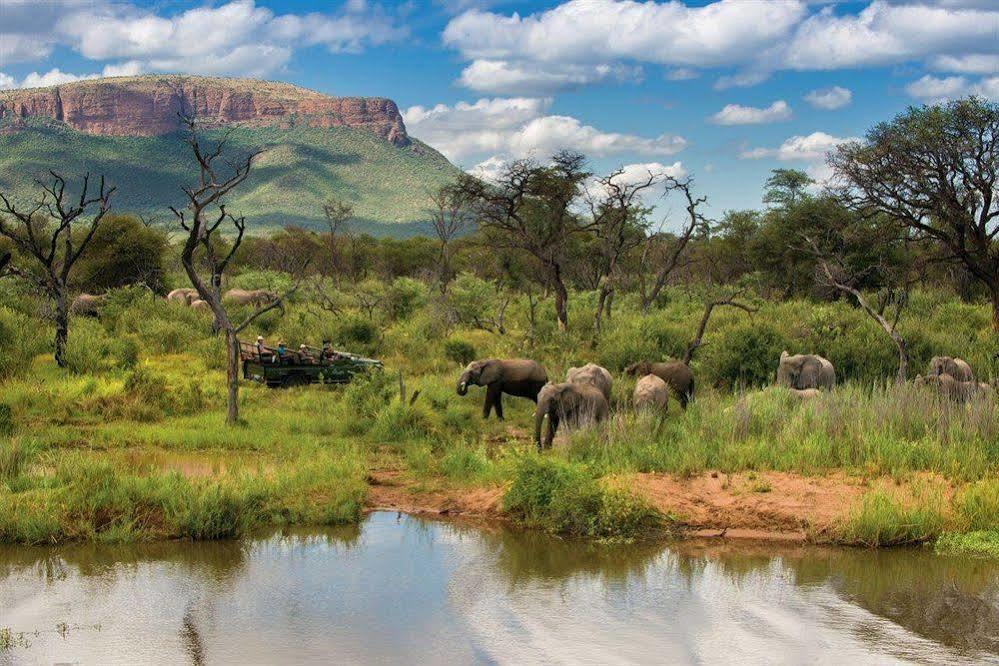 Marataba Safari Co Hotell Marakele National Park Eksteriør bilde